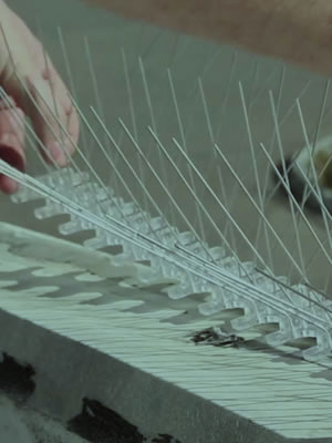 Afastamento de aves e morcegos