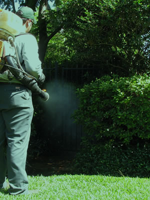 Controle de mosquitos