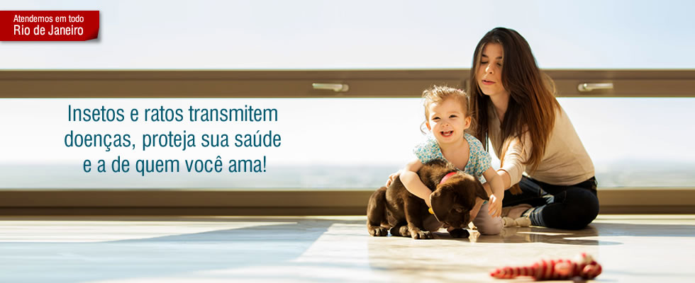 Desinsetização (Dedetização)<br>Insetos e ratos transmitem doenças, proteja sua saúde e de quem você ama!